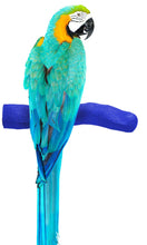 Load image into Gallery viewer, Patented Safety Pumice Perch™ - X-Large - Sweet Feet & Beak