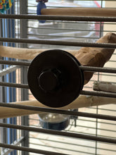 Load image into Gallery viewer, Manzanita Pumice Pedicure Superoost™ - Large - Sweet Feet & Beak