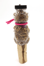 Load image into Gallery viewer, Bear-akeet™ - Sweet Feet & Beak